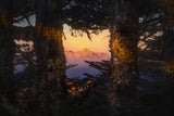 Mountain in the woods Poster och Canvastavla