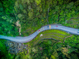 The snake road Poster och Canvastavla