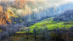 November colors Poster och Canvastavla