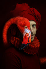 Red Flamingo Poster och Canvastavla