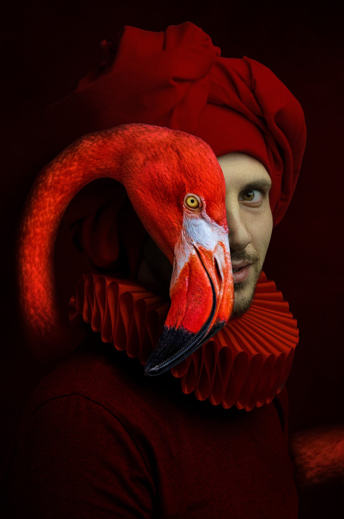 Red Flamingo Poster och Canvastavla