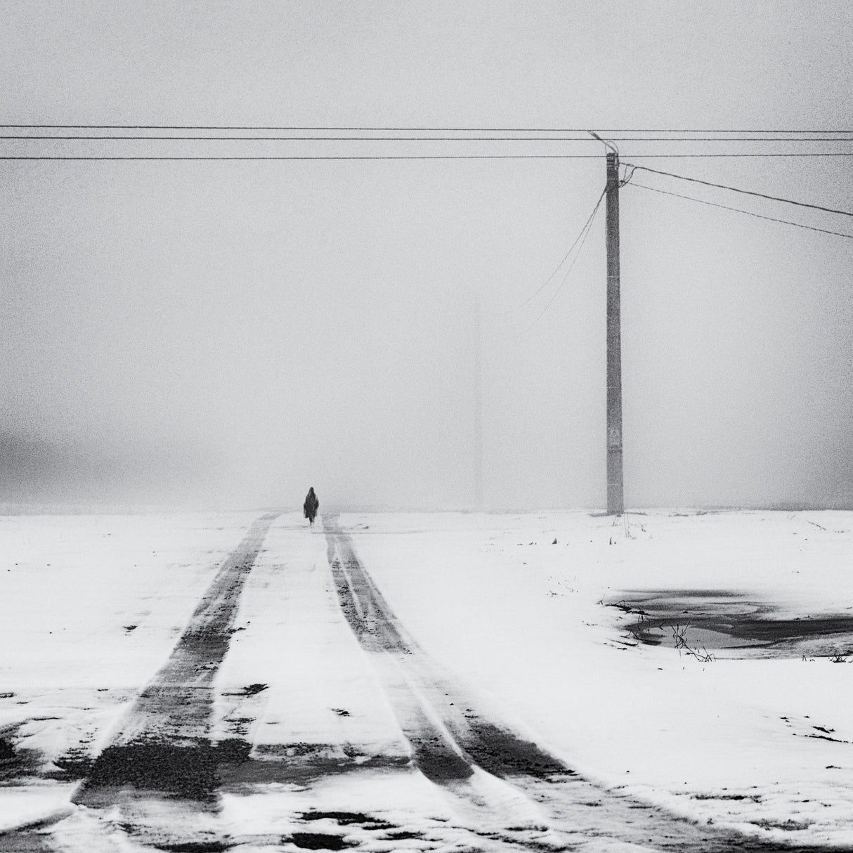 cold times Poster och Canvastavla