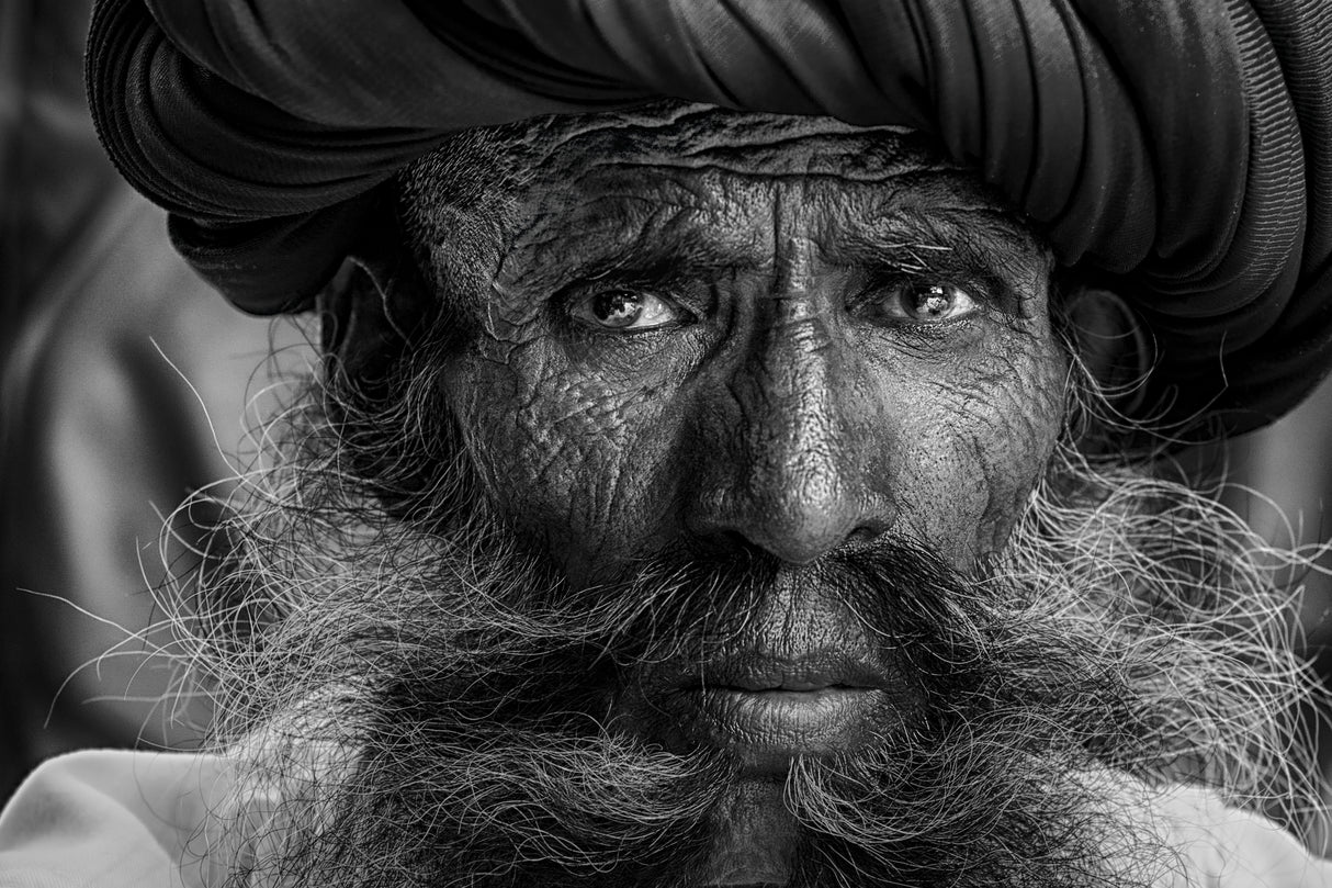 Elderly Rabari man Poster och Canvastavla