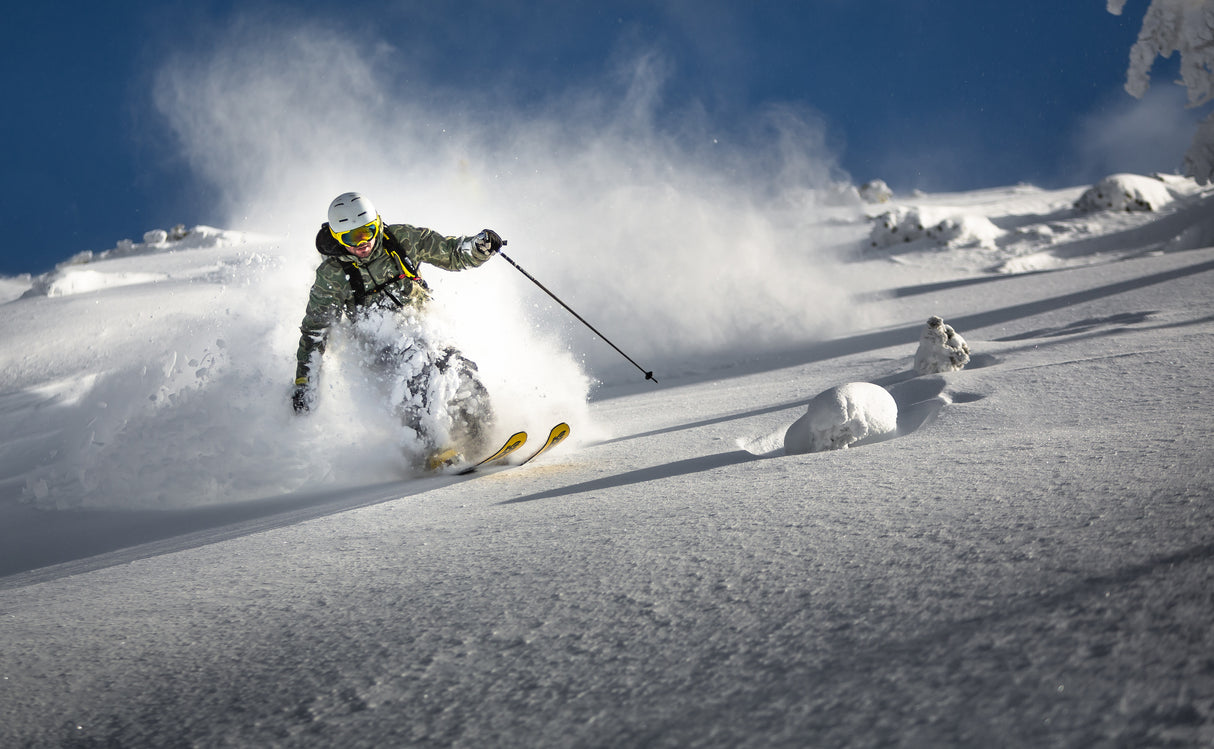 Powder paradise Poster och Canvastavla