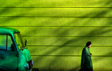 old green Poster och Canvastavla