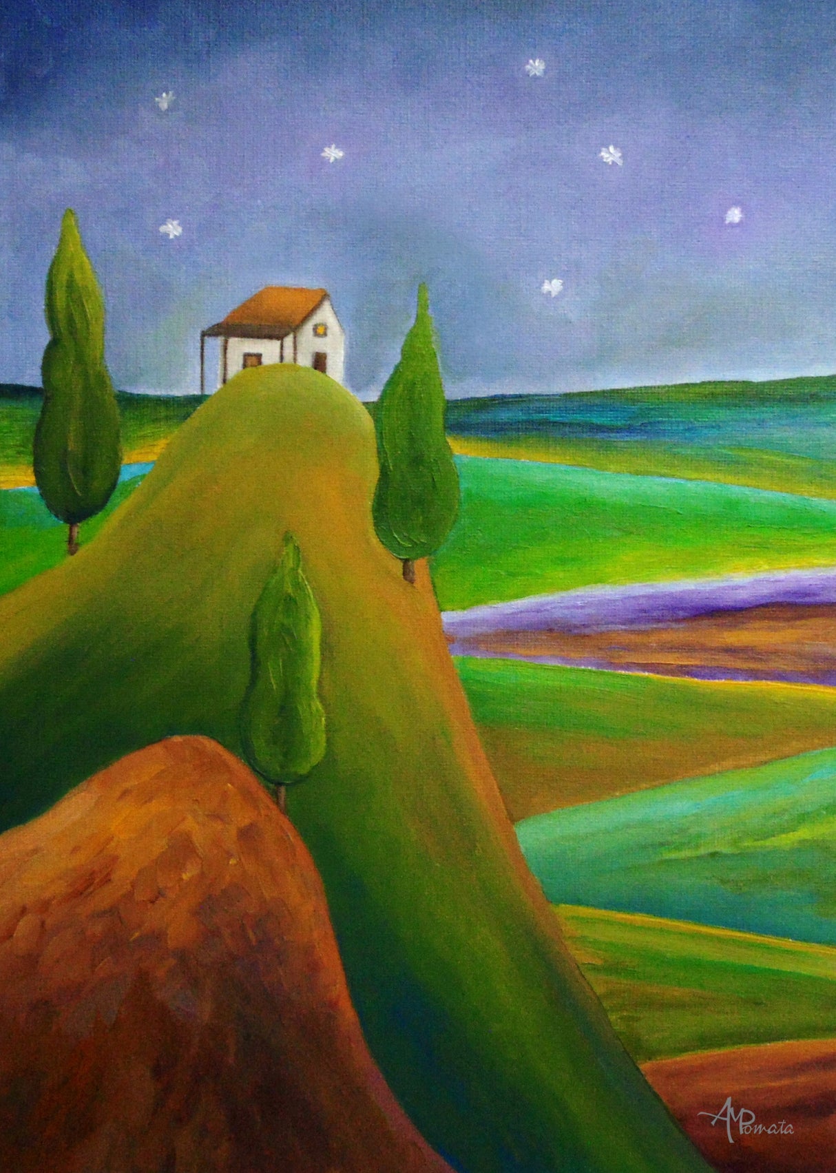 Starry Summer Night Poster och Canvastavla