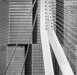 Between the lines Poster och Canvastavla