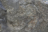 Tex Surface S24 Poster och Canvastavla