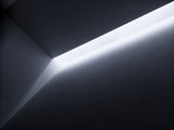 Let the Light In Poster och Canvastavla