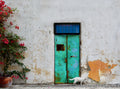 Facade - Old Jaffa Poster och Canvastavla
