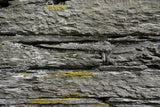 Tex Surface W11 Poster och Canvastavla