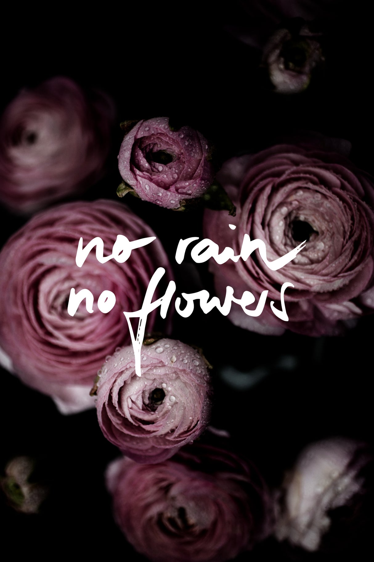 No Rain No Flowers 2 Poster och Canvastavla