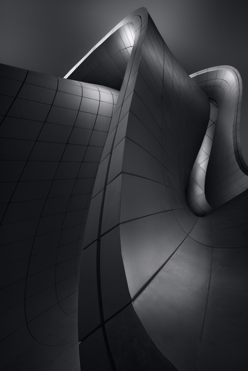 Curved lines Poster och Canvastavla