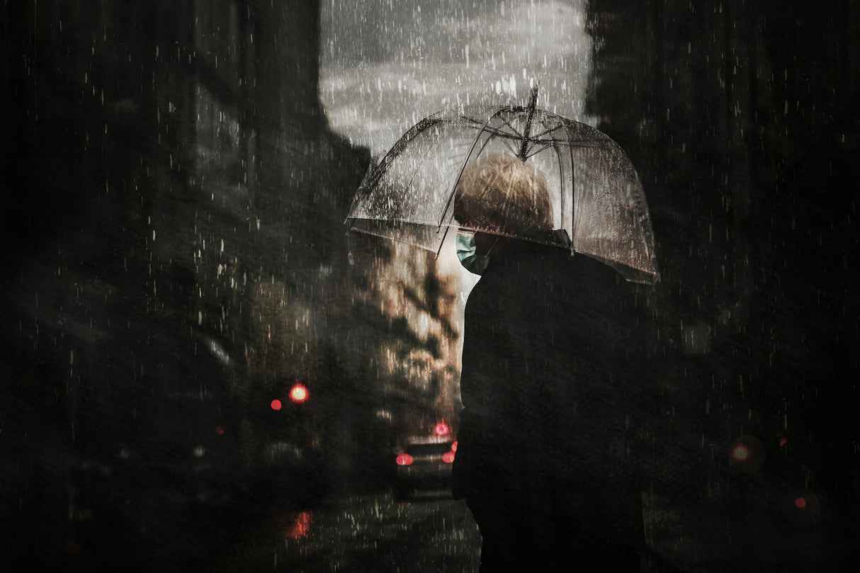 ...my umbrella Poster och Canvastavla