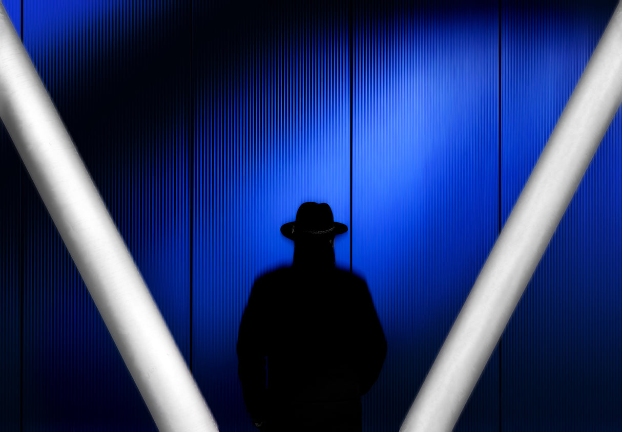 Mystery shopper Poster och Canvastavla