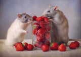 Strawberries Poster och Canvastavla