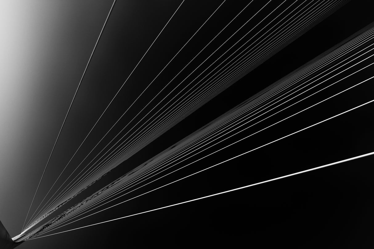 CALATRAVA BRIDGE.0 Poster och Canvastavla