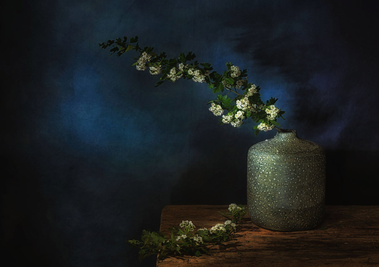 Springtime Poster och Canvastavla