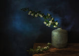 Springtime Poster och Canvastavla