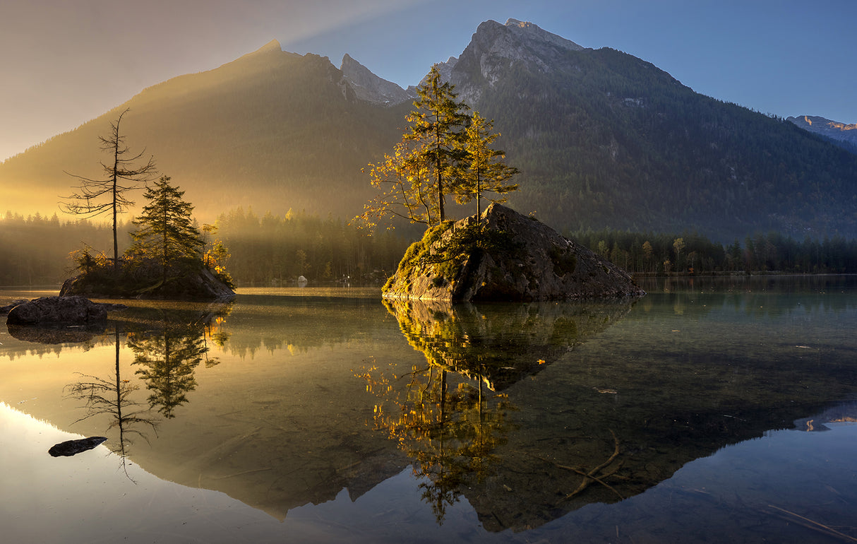 Golden Morning Poster och Canvastavla