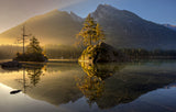 Golden Morning Poster och Canvastavla
