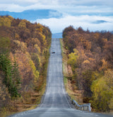 On the road again Poster och Canvastavla