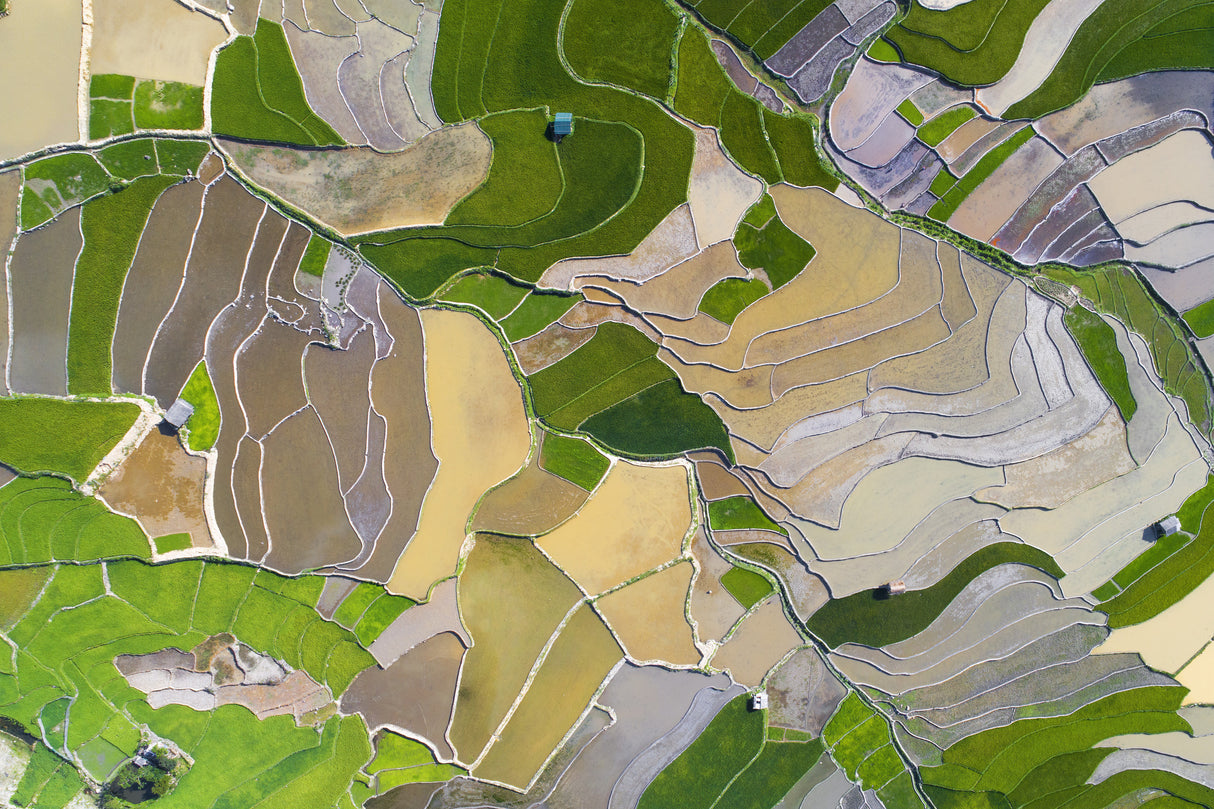 The color of land Poster och Canvastavla