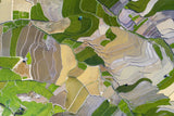 The color of land Poster och Canvastavla