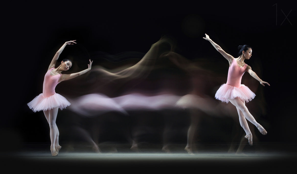 Graceful Balerina Poster och Canvastavla