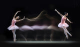 Graceful Balerina Poster och Canvastavla