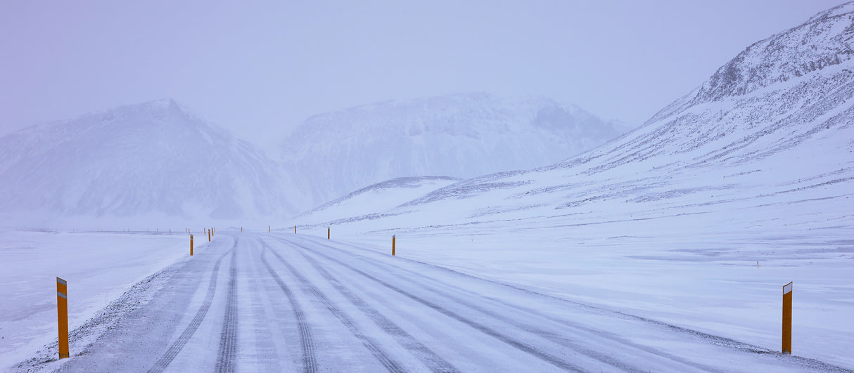 Arctic Poster och Canvastavla