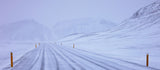 Arctic Poster och Canvastavla