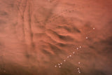 Life on mars Poster och Canvastavla