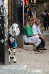funny Street scenes Poster och Canvastavla