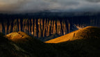 A Crumb of God's Creation Poster och Canvastavla