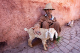 Man, goat and cat Poster och Canvastavla