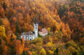 Cathedral in the forest Poster och Canvastavla