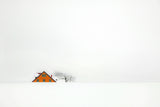 " snowbound " Poster och Canvastavla