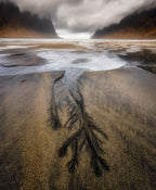 On the beach Poster och Canvastavla