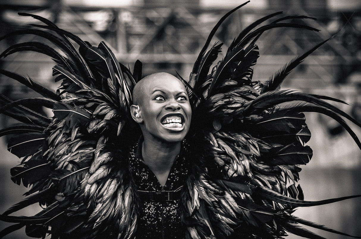 Skunk Anansie Poster och Canvastavla