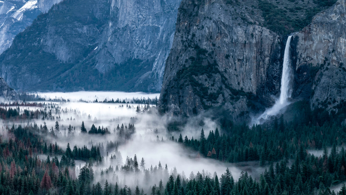 Spring In the Yosemite Valley Poster och Canvastavla