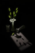 Dawn Shadows Poster och Canvastavla