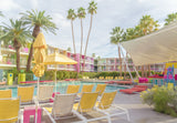 Poolside at the Saguaro Hotel - Palm Springs Poster och Canvastavla