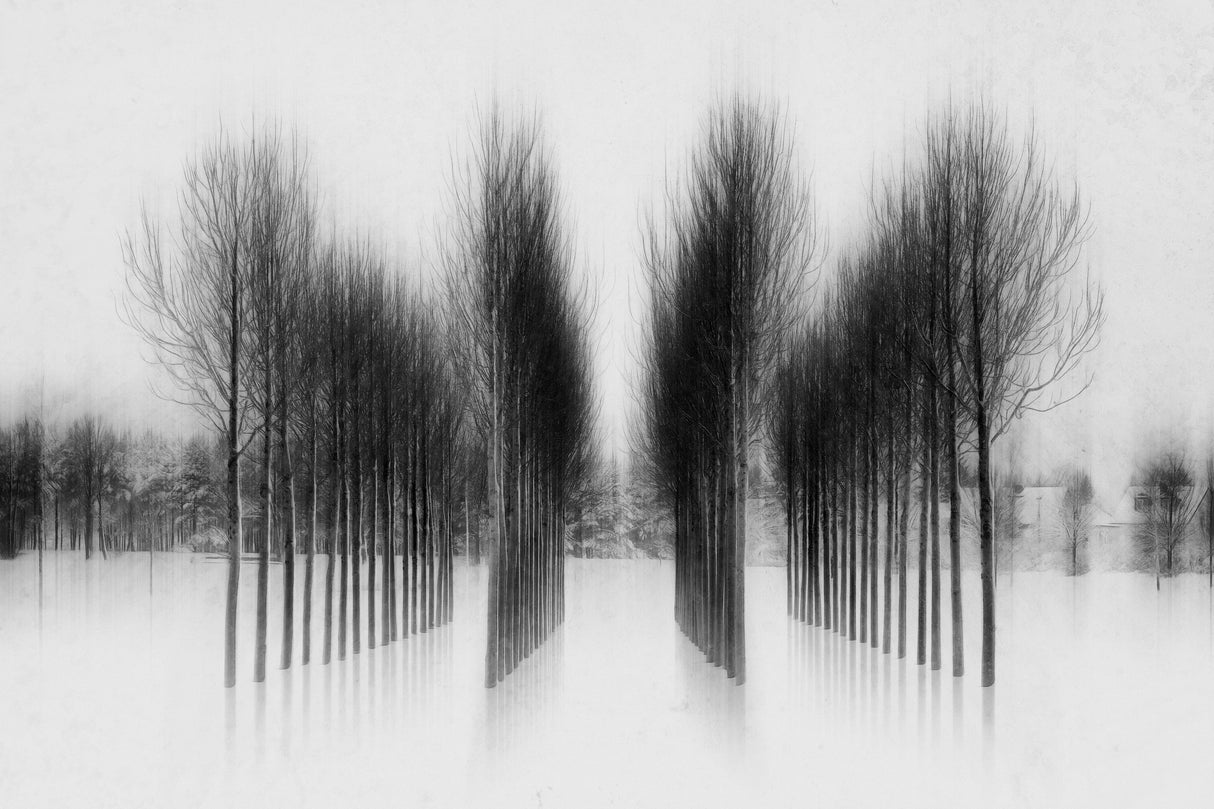 tree architecture Poster och Canvastavla