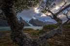 Window of Glaciated Mountains Poster och Canvastavla