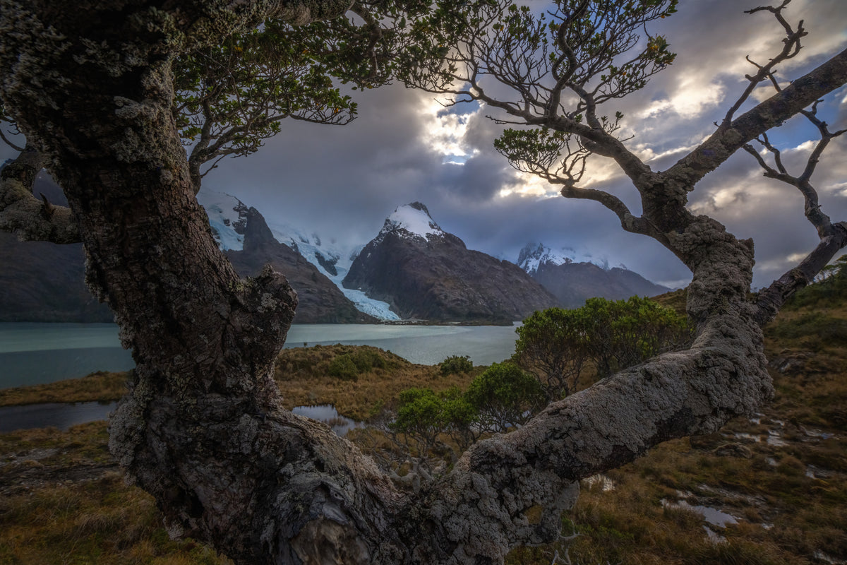 Window of Glaciated Mountains Poster och Canvastavla