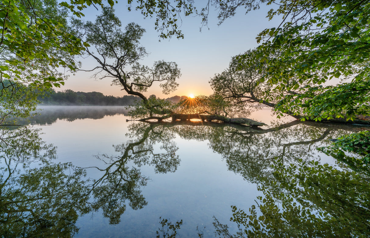 Morning stillness Poster och Canvastavla