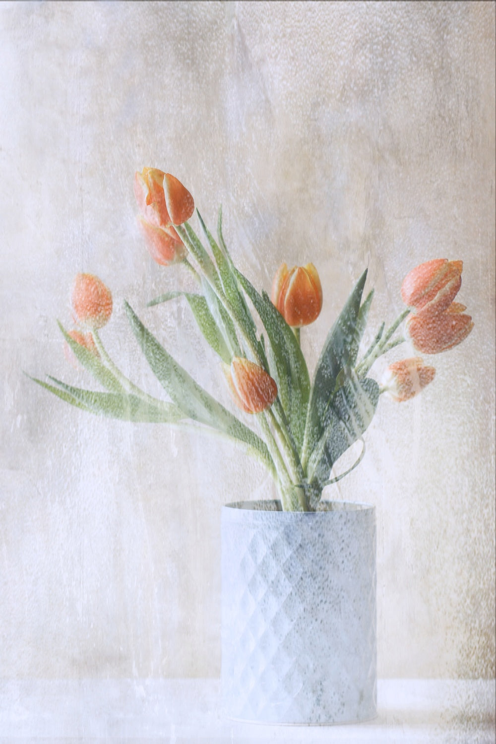 A bunch of tulips Poster och Canvastavla
