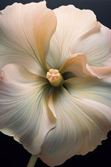 Floral Stock 3 Poster och Canvastavla