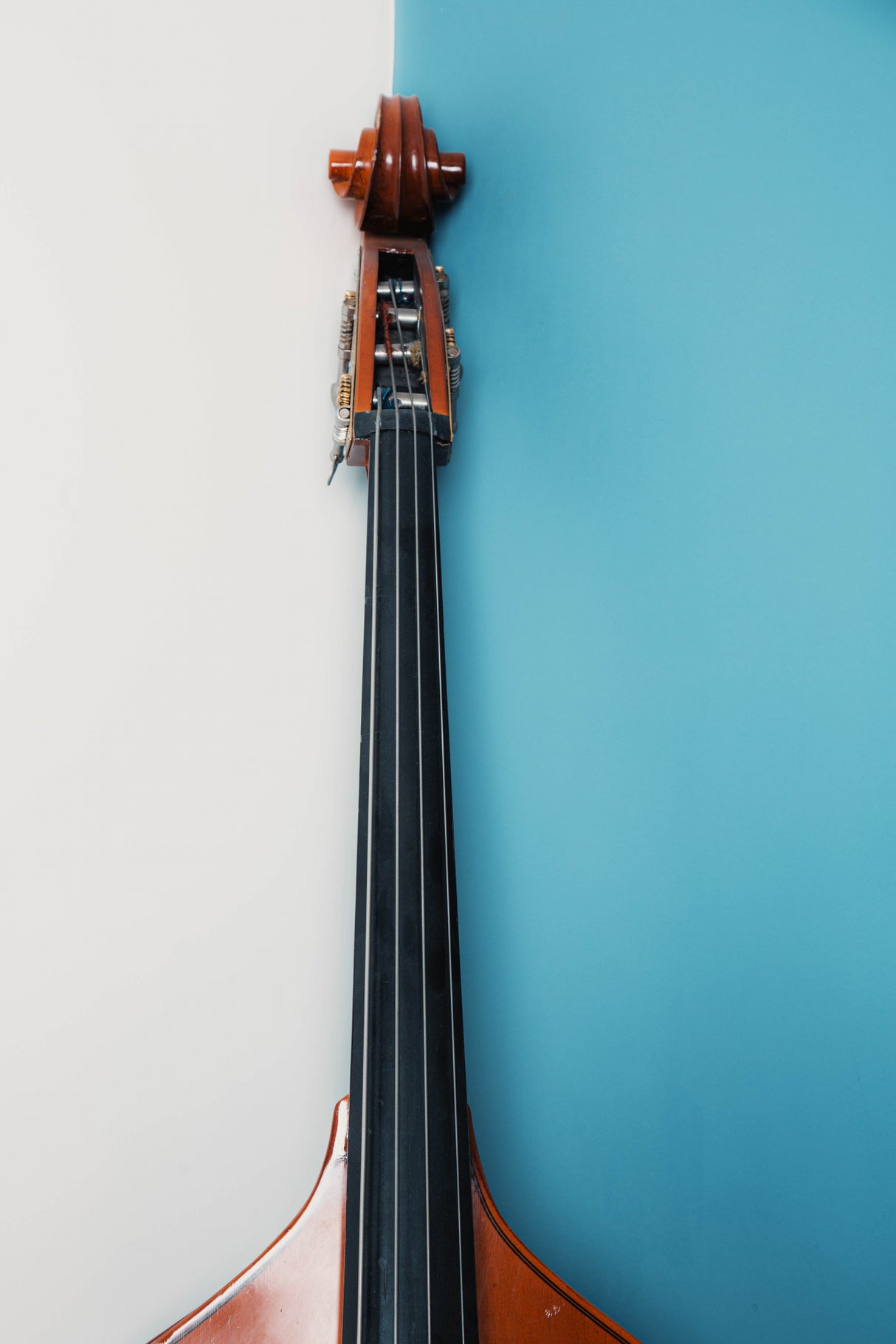 Violin Poster och Canvastavla